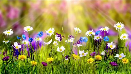 Relax in the arms of stunning nature  在令人惊叹的大自然中放松身心WELT Documentary@ Scenic Scenes @