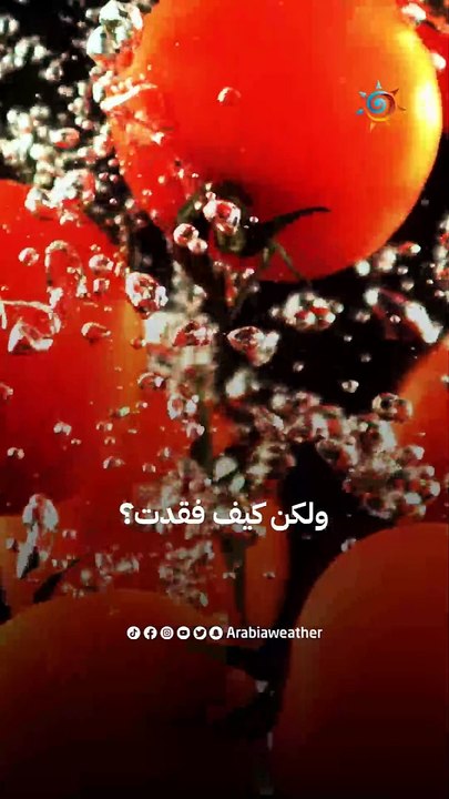 رواد ناسا يعثرون على الطماطم المفقودة في الفضاء منذ 8 أشهر
