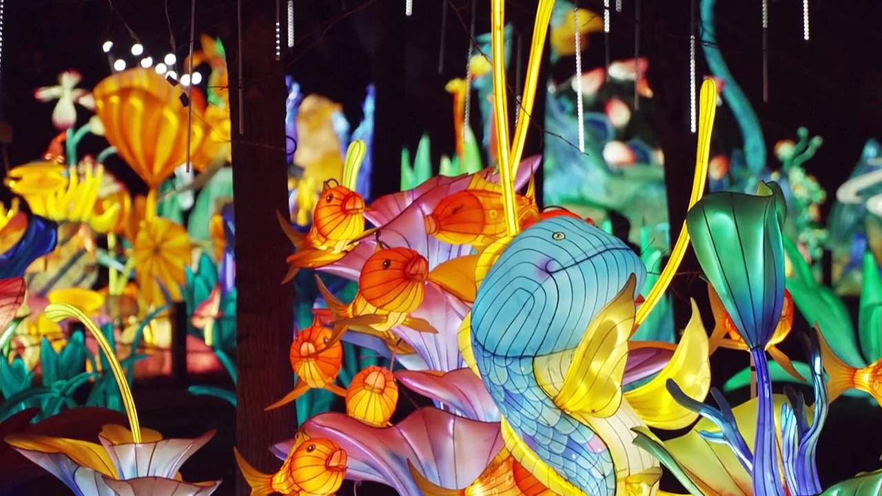 À Paris, dragons et lanternes de Shanghaï illuminent le Jardin d’Acclimatation