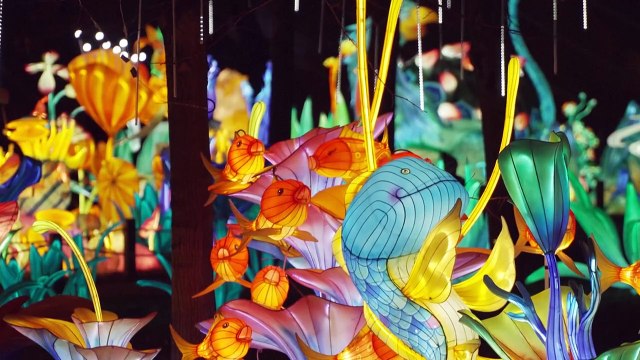 À Paris, dragons et lanternes de Shanghaï illuminent le Jardin d’Acclimatation