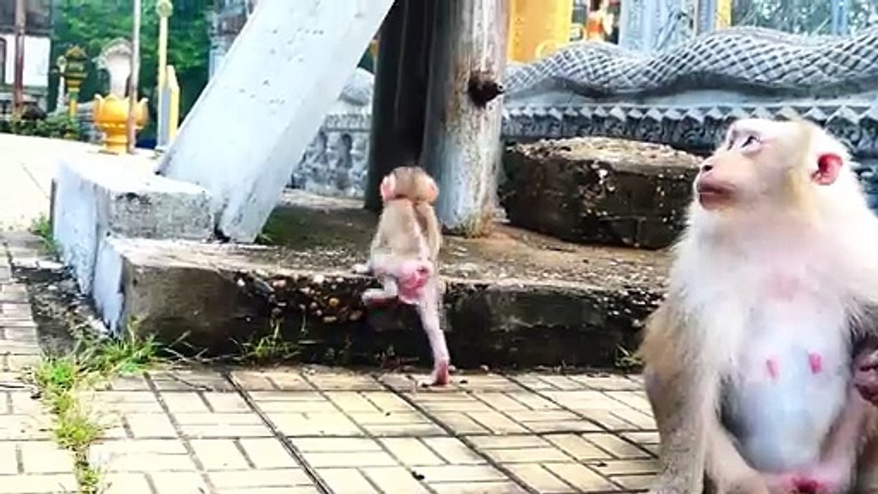 Lovely Performing Of Adorable Baby Rockstar With Mother Rozy (720p_25fps_H264-192kbit_AAC)