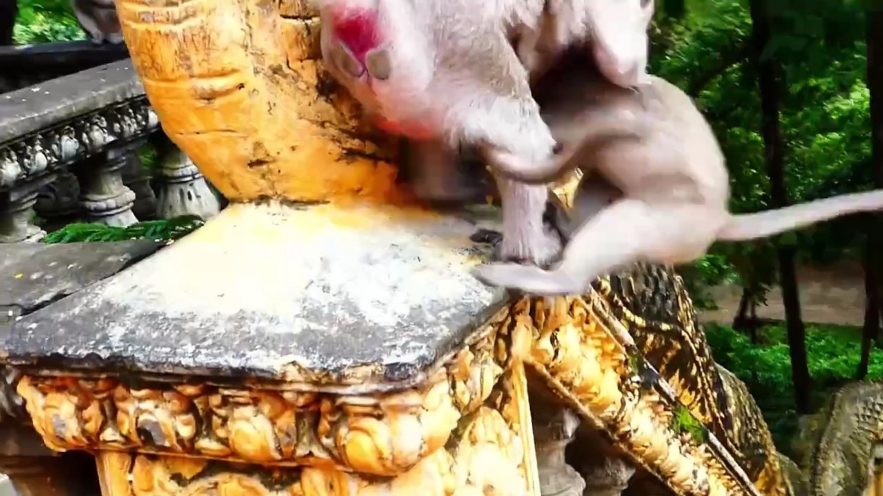 Malika mom bite her daughter Mila, Mila try harder to move out (720p_25fps_H264-192kbit_AAC)