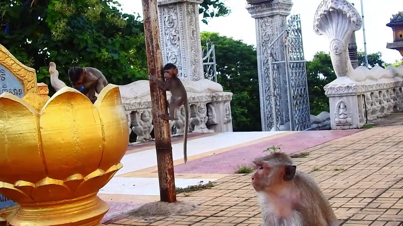 Malika Mom Hate Monika Baby COS of Ride on Tail Mom (720p_25fps_H264-192kbit_AAC)