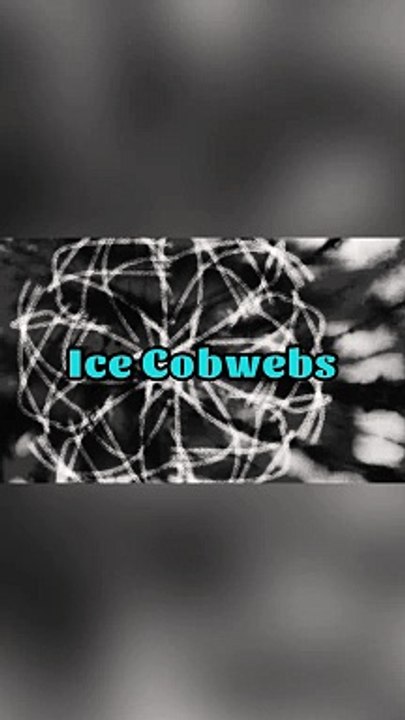 Ice Cobwebs