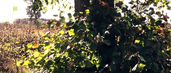 Mój Ostatni List - film krótkometrażowy