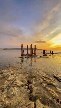 Fen Bladi فن بلادي Amine Bekhedda