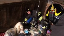 Il video del cane salvato dai vigili del fuoco ad Ascoli