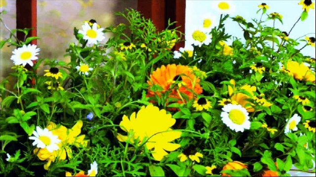 TINA TURNER — We Don't Need Another Hero (Audio) | TINA TURNER: Simply The Best - The video Collection