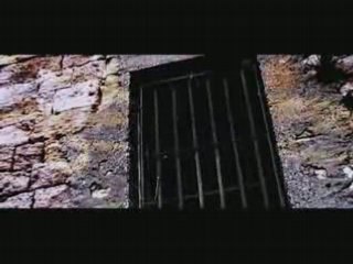 We be_concour wax tailor