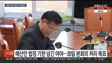 여야, 예산안 조율 계속…20일 본회의 통과할까