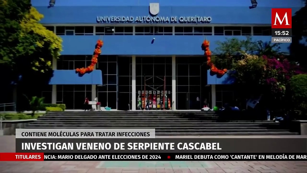 El veneno de la serpiente de cascabel como potencial tratamiento antibacteriano