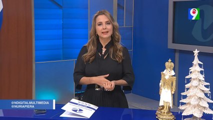 Resumen de investigaciones sobre títulos falsos | Nuria Piera 1/2