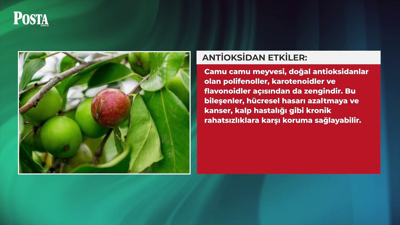 C vitamini deposu! Camu camu meyvesinin vücuda faydaları saymakla bitmiyor