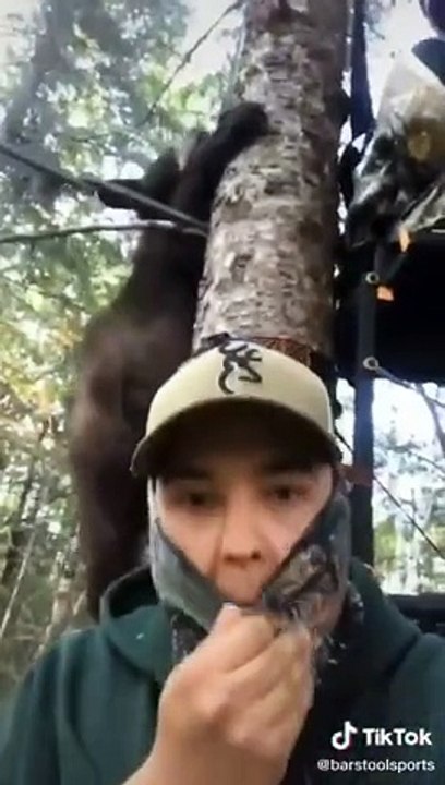 Cute Animal Tik Tok Compilation Best Animals