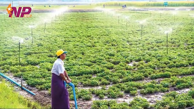Myanmar, China sign MoU on technological cooperation in citrus industry and commercial crops production