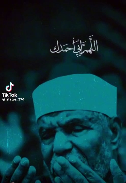 الشيخ الشعراوي