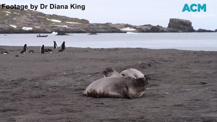 UOW voyage to Antarctica | December 22,2023 | Illawarra Mercury