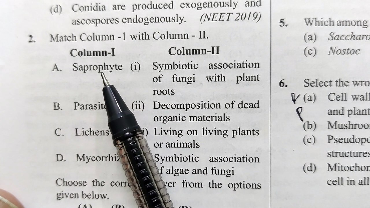 NEET PYQ of biological classification