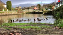 Plancoët  | De l'eau, une gare et des canards   |  Bretagne Télé