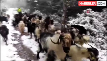 Sakarya'nın yüksek kesimleri beyaza büründü