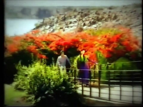 Koi Jane Ya Na Jane /Anuradha Paudwal , Suresh Wadkar/1982 Mehndi Rang Laegi