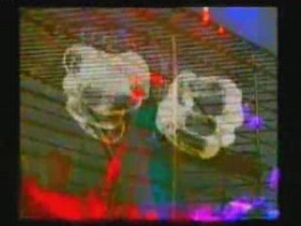 fabrik...alt...live video performance