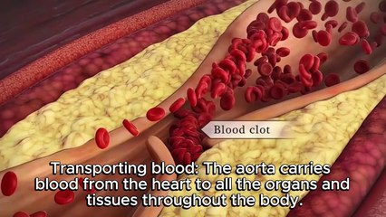 What is The Aorta ? #heartattack #aorta