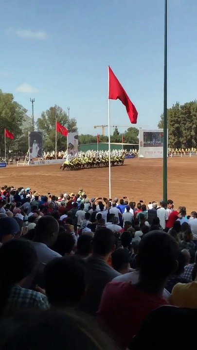 #التبوريدة tbourida in morocco