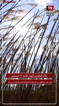 «برودة وأمطار».. الأرصاد تُحذر من حالة الطقس اليوم الأحد 17-12-2023