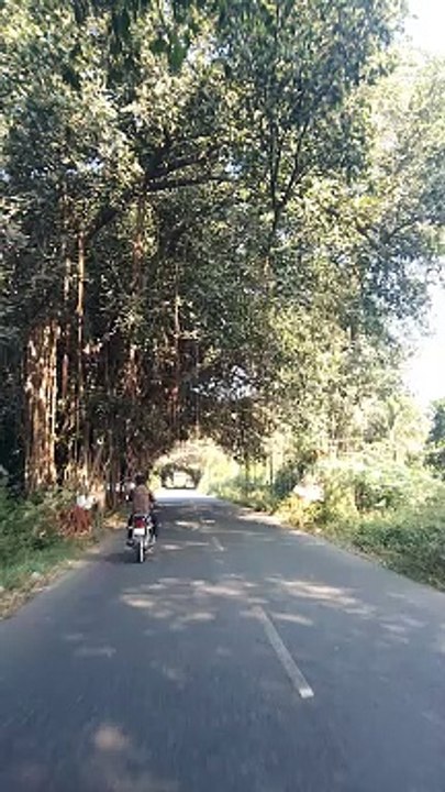 video_20231209_145245