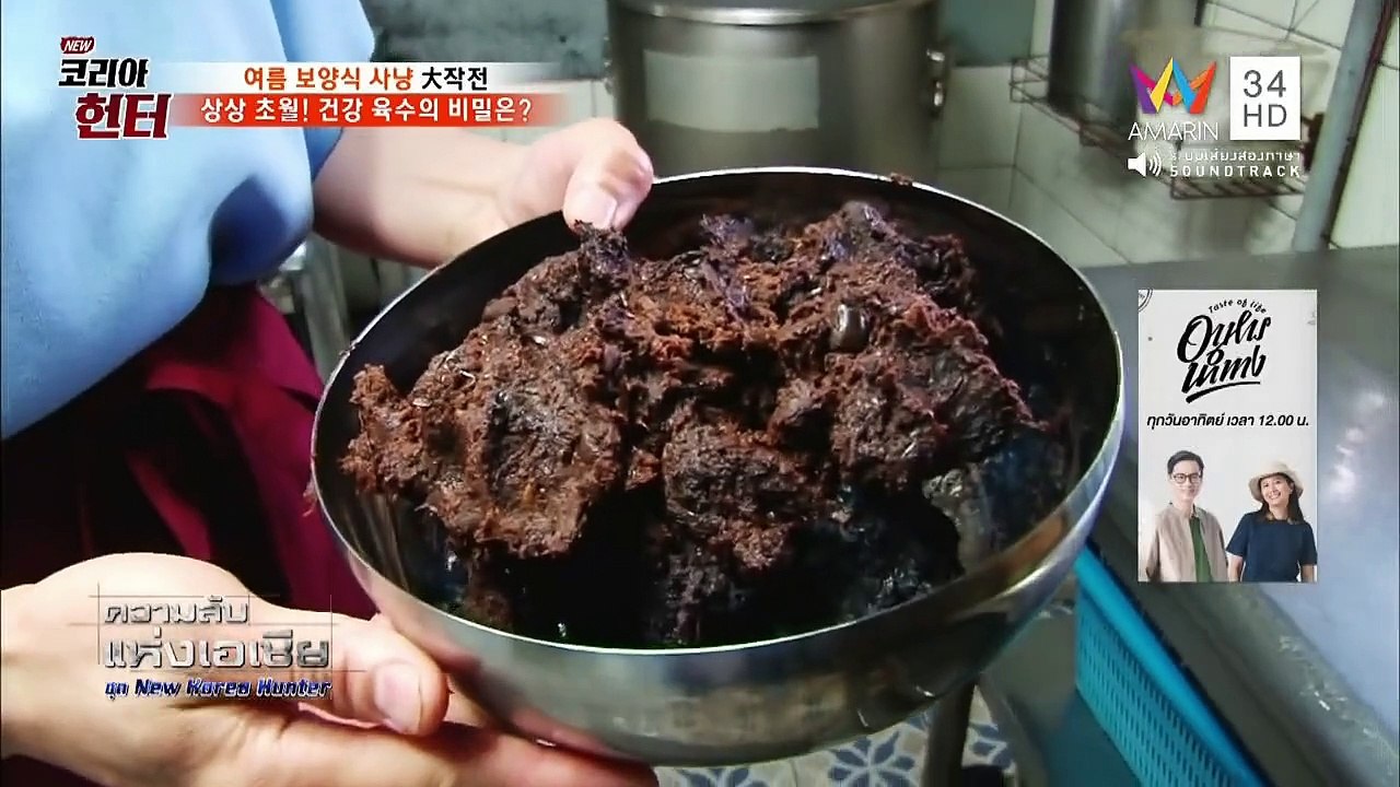 ความลับแห่งเอเชีย ชุด New Korea Hunter ตามหาดปลาหมึกยักษ์ ที่หาดโคลน