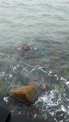 مياه البحر ١