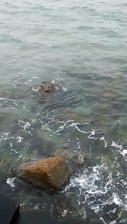 مياه البحر ١