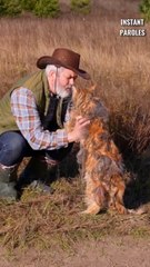 Ce fermier s’occupe d’un chat perdu au milieu d’un champs