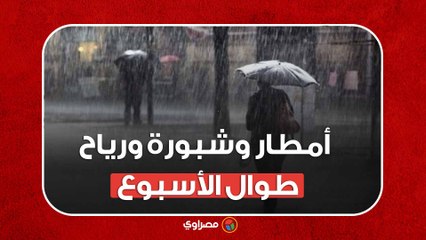 أمطار وشبورة ورياح طوال الأسبوع