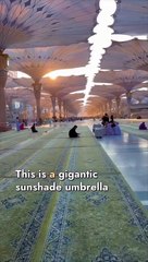 Madina giant umbrella facts