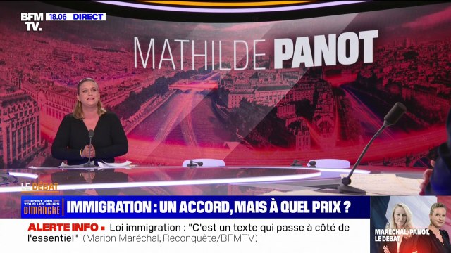 Mathilde Panot à Marion Maréchal: Vous êtes partisane de l'union réactionnaire, moi je suis partisane de l'union populaire