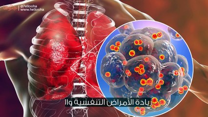 أثر التدخين في تلويث البيئة المنزلية
