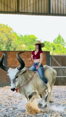 Dando uma volta com o namorado corno 