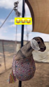 B416486A-3128-4A39-9300-B669A98568C6