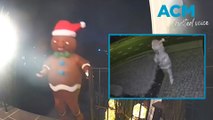 Creepy Gingerbread Man caught making unwanted house call!