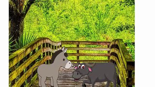 بیل اور گدھے کی کہانی