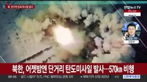 북한, 이틀 연속 탄도미사일 발사…한미 NCG 반발
