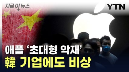 "중국산만 써라"...악재 터진 애플 [지금이뉴스] / YTN