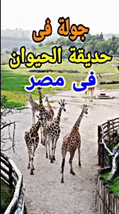 جولة في حديقة الحيوان ج A tour of the zoo in Egypt, Part 2 ٢