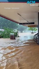 Crazy cow rescues as rain batters North Queensland