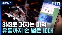 SNS로 퍼지는 마약...10대, 유통까지 가담 / YTN