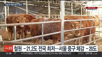 서울 체감 -20도 초강력 한파…'북극 냉기'도 온다