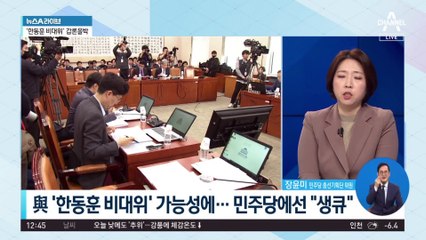 與 ‘한동훈 비대위’ 가능성에…민주당에선 “생큐”