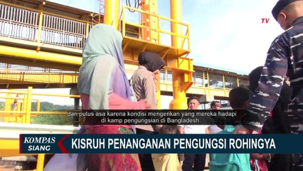 Ini Dia Wawancara PBB soal Pengungsi Rohingya di Indonesia